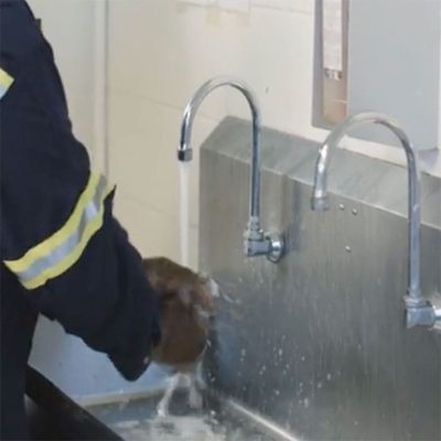 Lead battery recycling facility employee washing his hands as a part of employee hygiene and safety protocols.